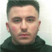 Muttersprachlicher Student aus Italien sucht Lehrende/Interessierte für Italienisch